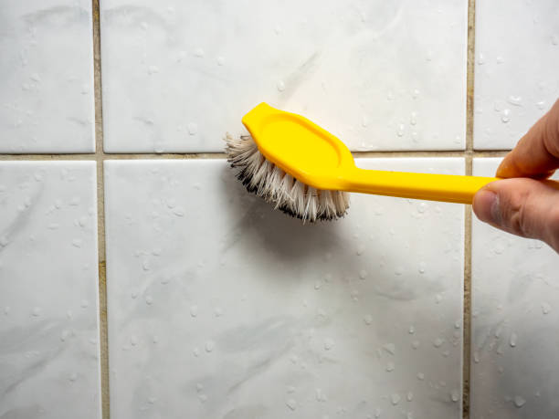Best Mold Testing and Inspection Services in Paden City, WV