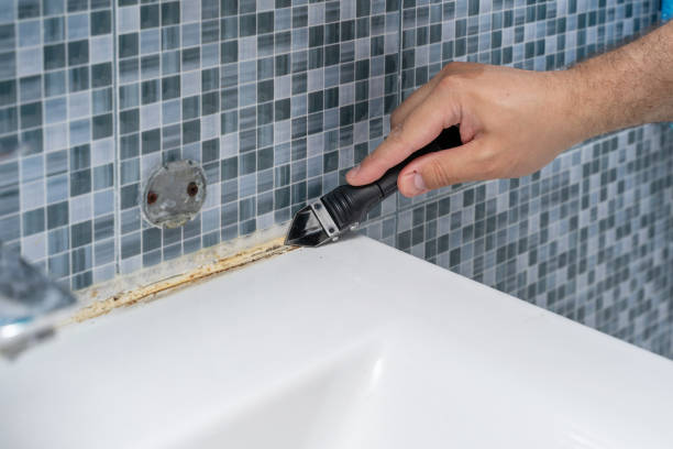 Reliable Paden City, WV Mold Remediation Solutions