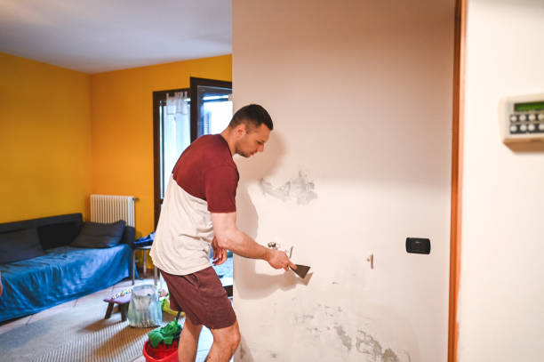 Best Mold Remediation for Schools in Paden City, WV
